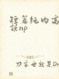 短篇纯肉高h小说np