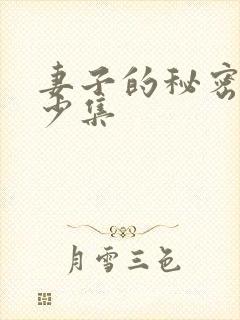 妻子的秘密共多少集