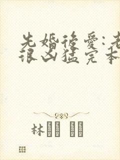 先婚后爱:老公很凶猛完本txt下载