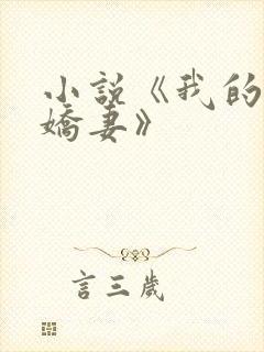 小说《我的极品娇妻》