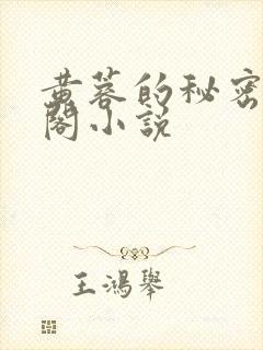 黄蓉的秘密笔趣阁小说