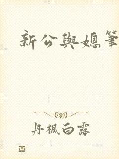 新公与媳笔趣阁