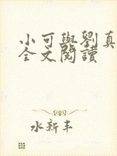 小可与刘真小说全文阅读