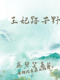 王妃路子野得宠