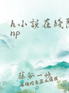 h小说在线阅读np