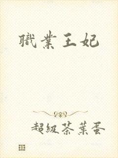 职业王妃