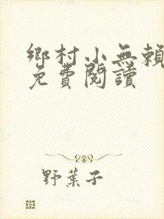 乡村小无赖小说免费阅读
