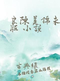 良陈美锦未删减版 小说