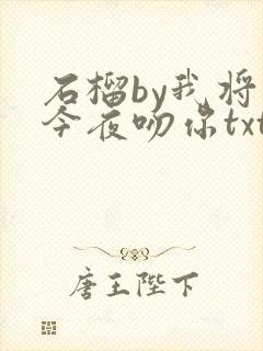 石榴by我将在今夜吻你txt