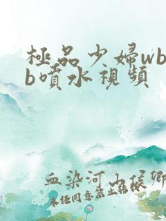 极品少妇wbbb喷水视频