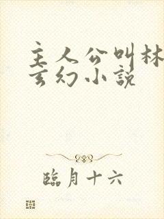 主人公叫林天的玄幻小说