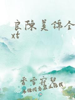 良陈美锦全文txt