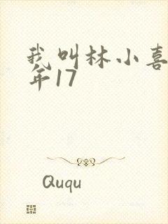 我叫林小喜 今年17
