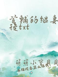 首辅的继妻重生后txt
