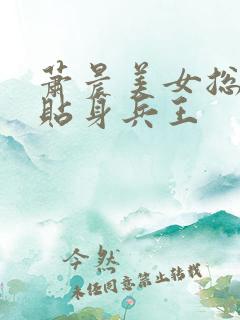 萧晨美女总裁的贴身兵王