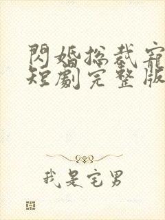 闪婚总裁宠上天短剧完整版免费看