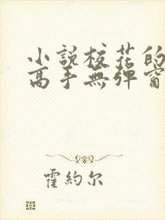 小说校花的贴身高手无弹窗全文免费阅读
