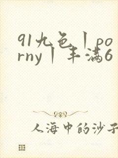 91九色丨porny丨丰满6