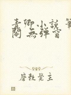 青卿小说 笔趣阁 无弹窗