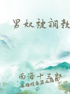 男奴被调教小说