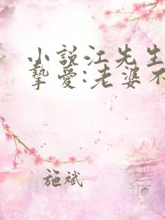 小说江先生隐婚挚爱:老婆不准躲txt