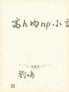 高h肉np小说