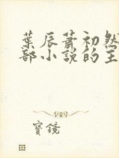 叶辰萧初然是哪部小说的主角