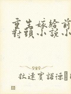 重生嫁给前夫死对头小说小说