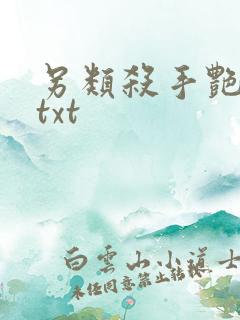 另类杀手艳福星txt