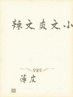 辣文爽文小说