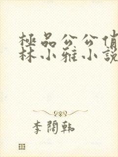 极品公公俏儿媳林小雅小说全文
