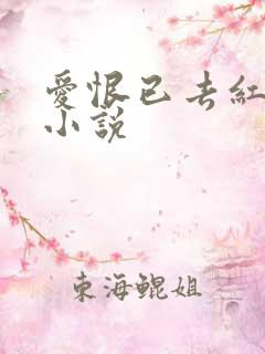 爱恨已去红颜空小说