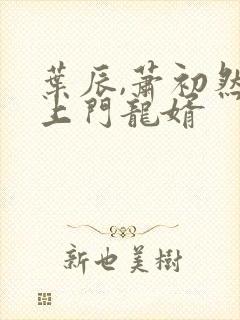 叶辰,萧初然 上门龙婿