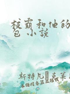 校霸和他的小哭包 小说