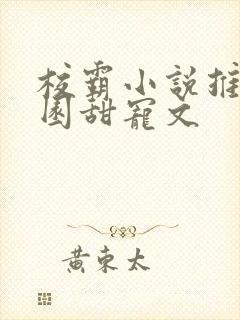 校霸小说推荐校园甜宠文
