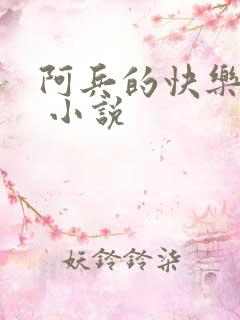 阿兵的快乐生活 小说
