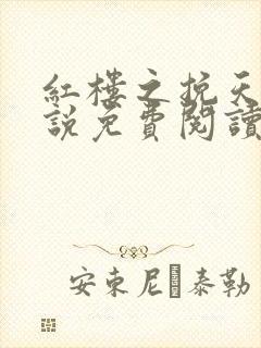 红楼之挽天倾小说免费阅读