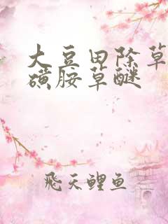 大豆田除草剂氟磺胺草醚