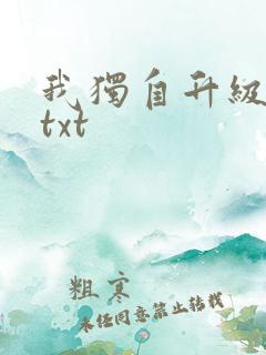 我独自升级原著txt