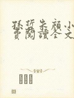 孙哲朱颜小说免费阅读全文最新章节