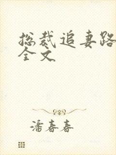 总裁追妻路漫漫全文