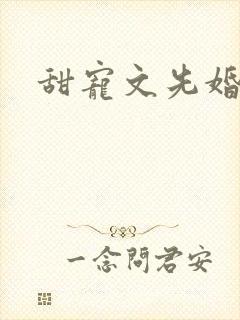 甜宠文先婚后爱