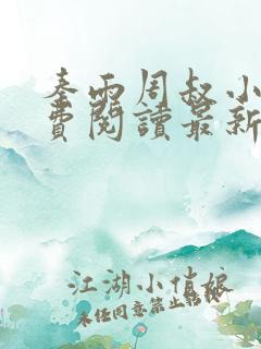 秦雨周叔小说免费阅读最新章节全文