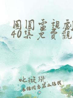 团圆电视剧全集40集免费观看