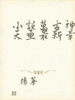 小说万古神帝飞天鱼最新章节目录