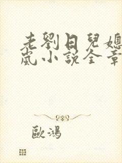 老刘日儿媳妇张岚小说全章