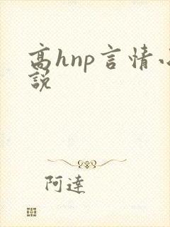 高hnp言情小说
