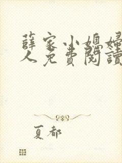 薛家小媳妇笑佳人免费阅读全文
