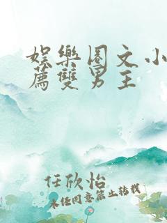 娱乐圈文小说推荐双男主