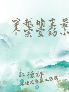 穿越明末最后一个宗室的小说